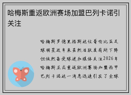 哈梅斯重返欧洲赛场加盟巴列卡诺引关注 哈梅斯重返欧洲赛场加盟巴列卡诺引关注